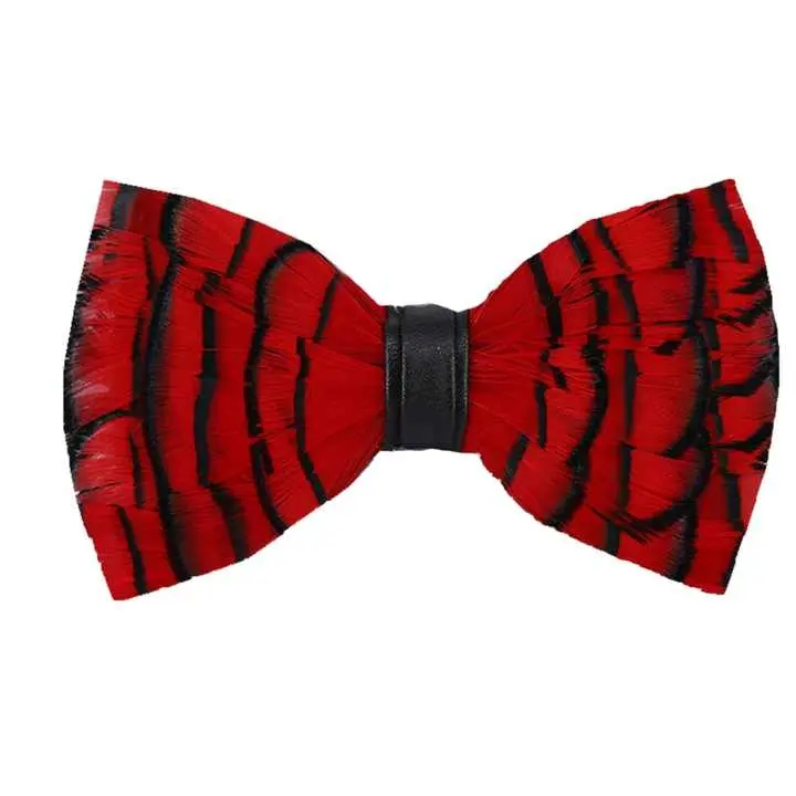 Handmade Luxurious Men's Feather Bow Tie Customized Design for Party Wedding & Special Events C-WXY037